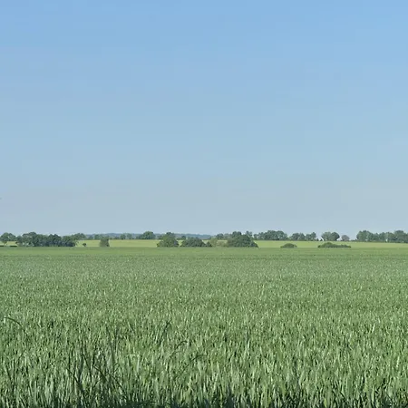 De L Héritage * Crannes-en-Champagne