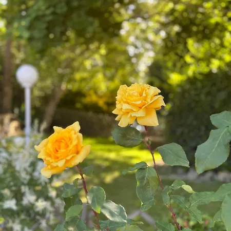 De L Héritage Hotel